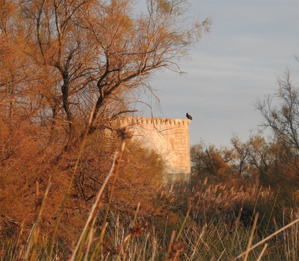 Au sein d'une nature préservée, découvrez le Château de Tourvieille 