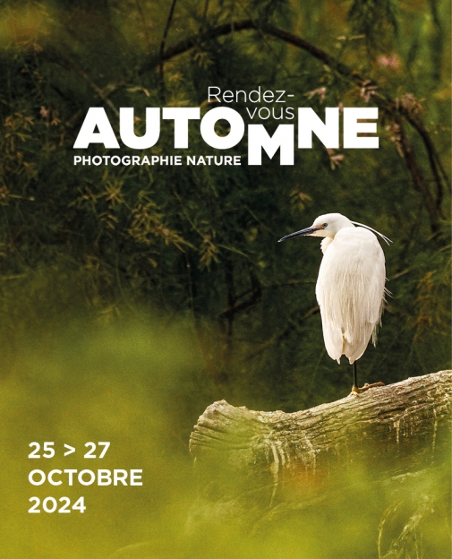 Affiche A4 RDV Automne 2024