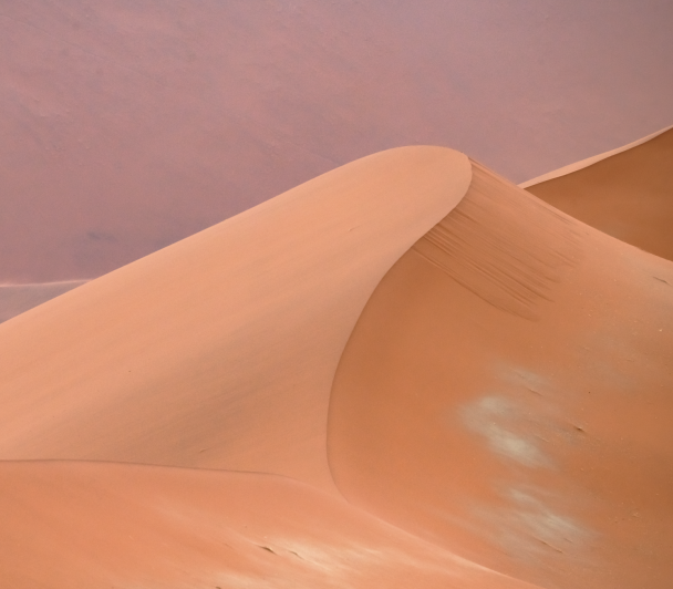 Namib, du sable à la vie avec Maxime Briola