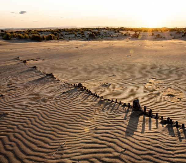 Coucher de soleil sur les dunes de la Réserve