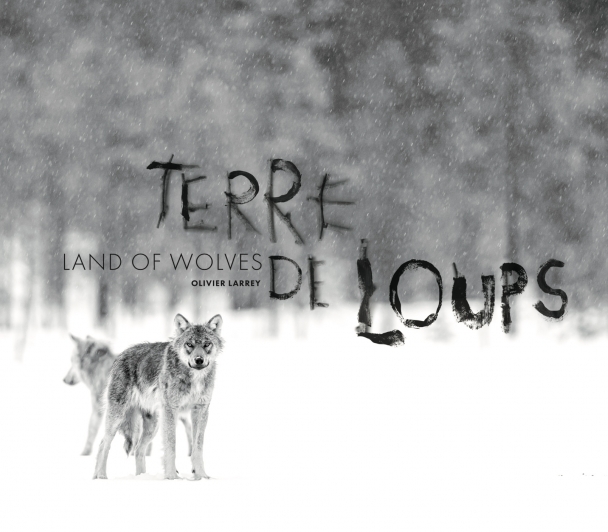 Terre de loups, de Olivier Larrey et Yves Fagniart