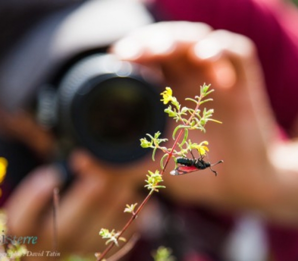 Stage photo nature avec David Tatin