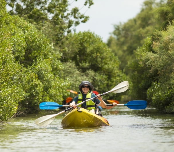 Découverte des rives du grand Rhône en Kayak