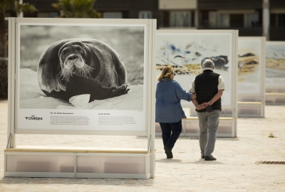 Exposition Toundra Olivier Larrey