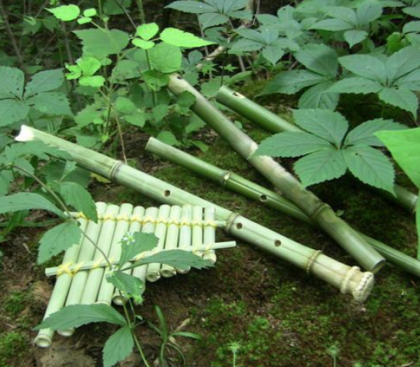 Atelier musique verte : fabrication d'une flute de pan