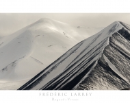Larrey/Panthère des neiges