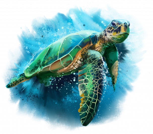 Sauvetage des tortues de Méditerranée