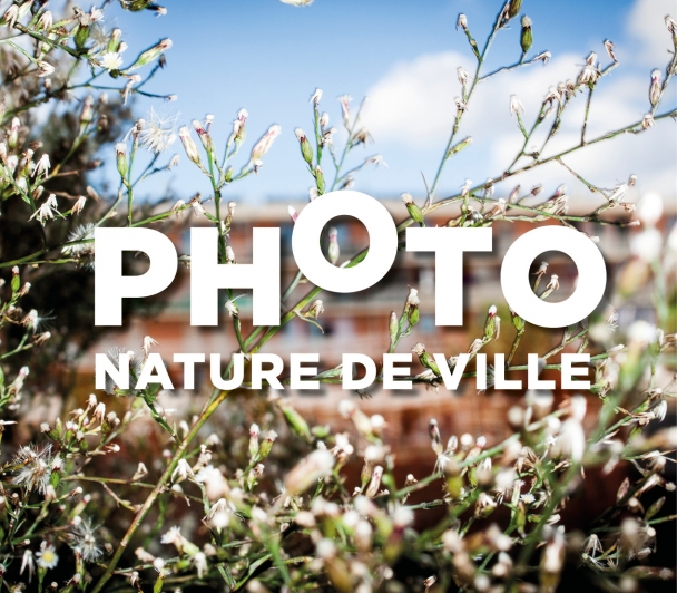 Ateliers Photo Nature de Ville #4