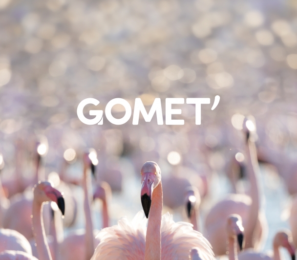 Gomet, partenaire du Festival