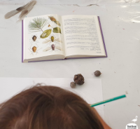 Ecole de la nature-stage photo © festival Camargue Ecole de la nature-stage photo