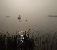 Comment concilier chasse et biodiversité