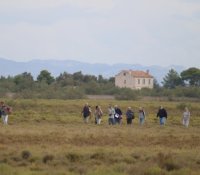 Entre Histoire et Nature, balade sur le site d'Amphise