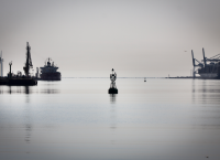 Photo nature de ville © © Florent GARDIN Photo nature de ville