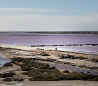 Un lieu atypique en basse camargue