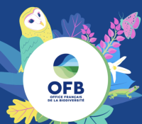 Biodiversité et écosystèmes marins 