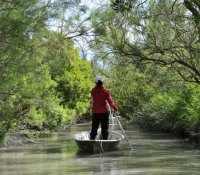 Les Marais en Nego-Chin © Festival Camargue Les Marais en Nego-Chin