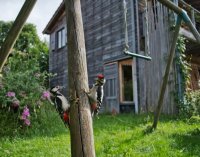 Concours photo 2023 © Louis Verheye Concours photo 2023