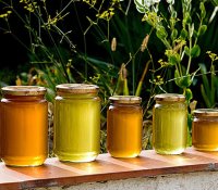 Il était une fois... le miel ! avec le Syndicat des Apiculteurs © Societe régionale d'apiculture Il était une fois... le miel ! avec le Syndicat des Apiculteurs