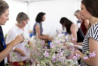 Bilan-Plantes sauvage © Festival Camargue Bilan-Plantes sauvage
