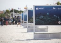 1 Ocean 
