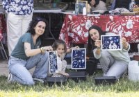 R&eacute;trospective 2026 : cyanotype