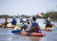 Bilan 2024 8 © Florent Gardin-Festival Camargue Bilan 2024 8