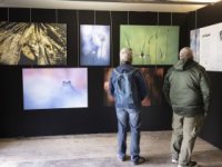 R&eacute;trospective 2026 : Expo interieure