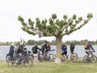 R&eacute;trospective 2026 : Salin terre de lumi&egrave;re