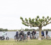 R&eacute;trospective 2026 : Salin terre de lumi&egrave;re