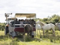 R&eacute;trospective 2026 : visite d'un haras