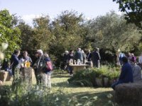 R&eacute;trospective 2026 : visite d'un haras