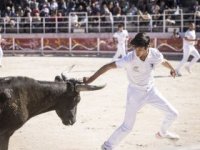 R&eacute;trospective 2026 : Course camarguaise