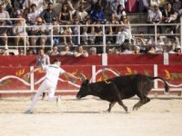 R&eacute;trospective 2026 : Course camarguaise