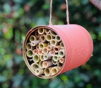 Hotel pour abeille sauvage © Les petits Zecolos Hotel pour abeille sauvage