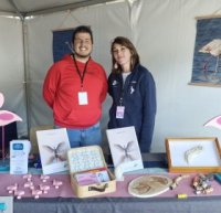 Les Chroniques du Festival de la Camargue avec Soleil FM (copie)