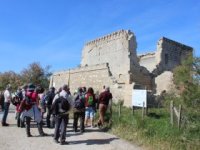Sortie nature 2019 Sortie nature 2019