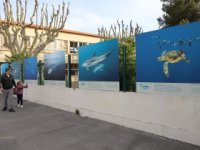bilan 2019 rétrospective bilan 2019 rétrospective
