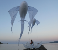 Le Bal des Luminèoles © Porté par le Vent Le Bal des Luminèoles