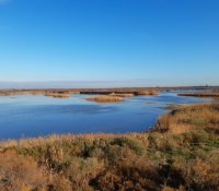 Visite du domaine des Grandes Cabanes Sud