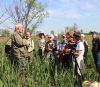 2018 sortie Marais Bondoux © Festival Camargue 2018 sortie Marais Bondoux