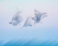 Concours photo 2023 © Raphaël TRÉHOREL Concours photo 2023