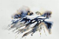 Tibet, les dernières panthères des neiges de Yves FAGNIART © Yves Fagniart Tibet, les dernières panthères des neiges de Yves FAGNIART