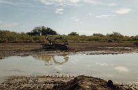 Agrivair Garrigue : le programme de protection de la ressource par Perrier, partenaire du Festival de la Camargue