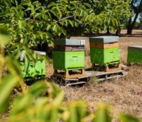 Agrivair Garrigue : le programme de protection de la ressource par Perrier, partenaire du Festival de la Camargue