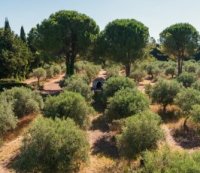 Agrivair Garrigue : le programme de protection de la ressource par Perrier, partenaire du Festival de la Camargue