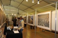 Village de l'oiseau// stand © Festival Camargue Village de l'oiseau// stand