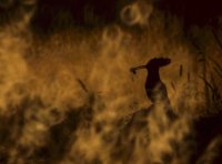 Concours photos 2020 © Juan Pablo PLAZA@NatureSauvage-finaliste2020 Concours photos 2020