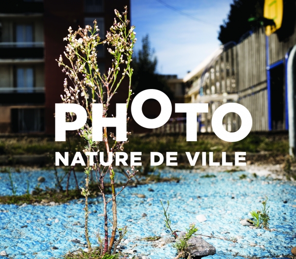Ateliers Photo Nature de Ville #2